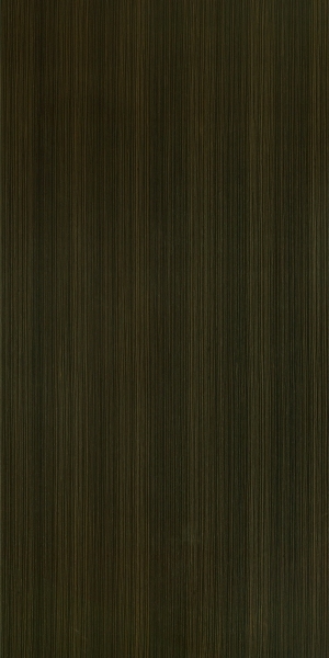 ModernWood Texture