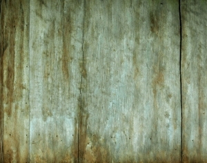 ModernWood Texture