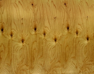 ModernWood Texture