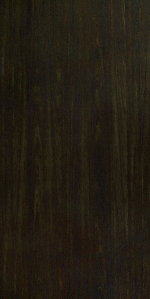 ModernWood Texture