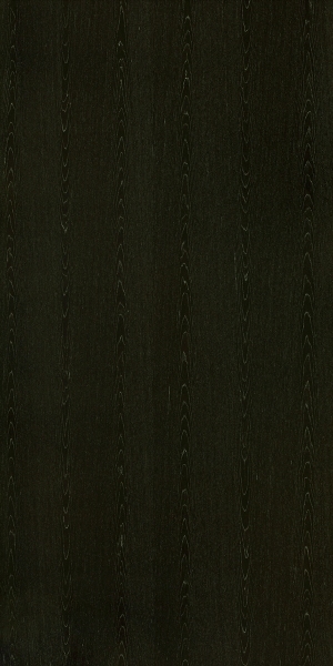 ModernWood Texture