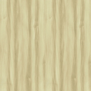 ModernWood Texture