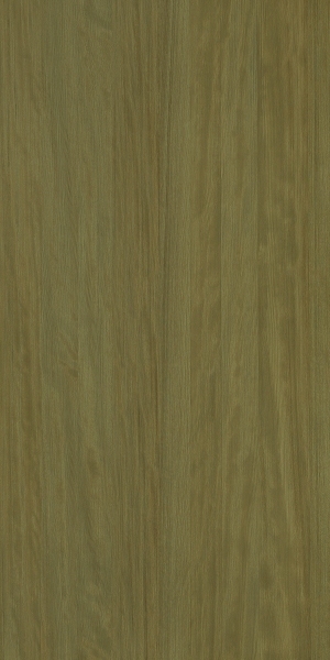 ModernWood Texture