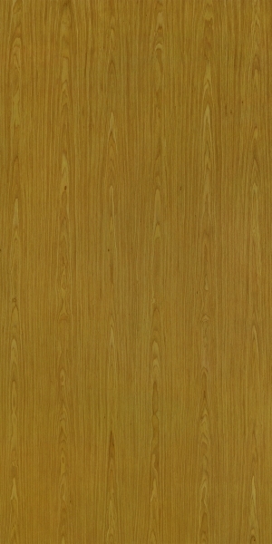 ModernWood Texture