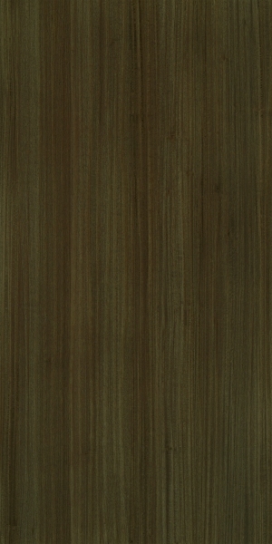 ModernWood Texture