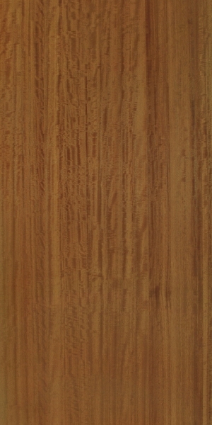 ModernWood Texture