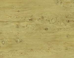 ModernWood Texture
