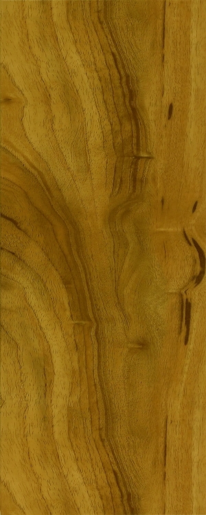 ModernWood Texture