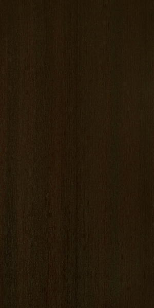 ModernWood Texture