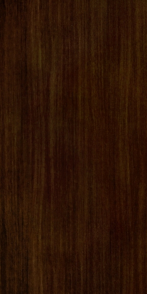 ModernWood Texture