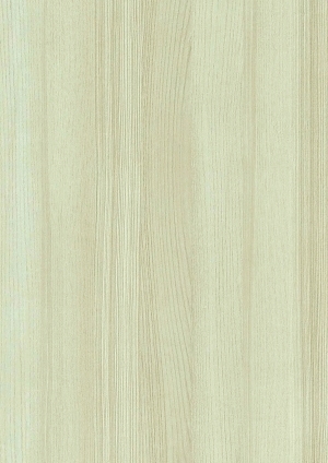ModernWood Texture