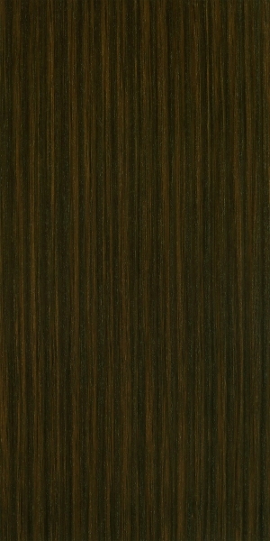 ModernWood Texture