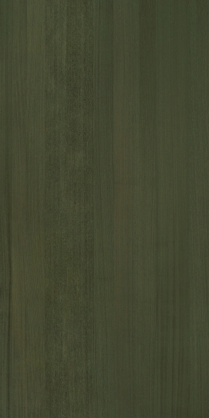 ModernWood Texture