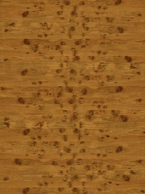 ModernWood Texture