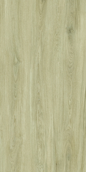 ModernWood Texture