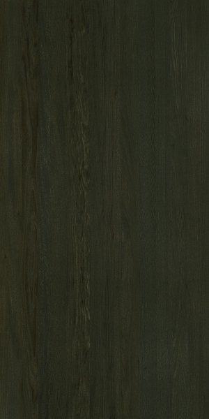 ModernWood Texture