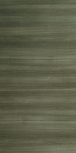 ModernWood Texture