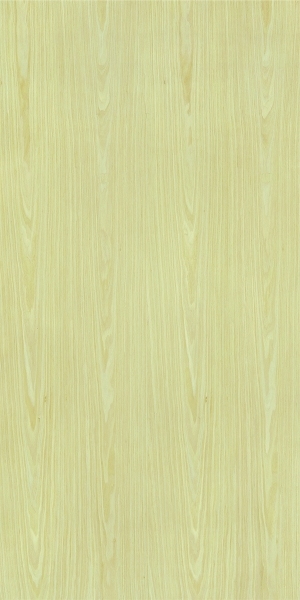 ModernWood Texture