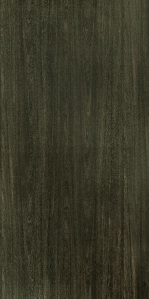 ModernWood Texture