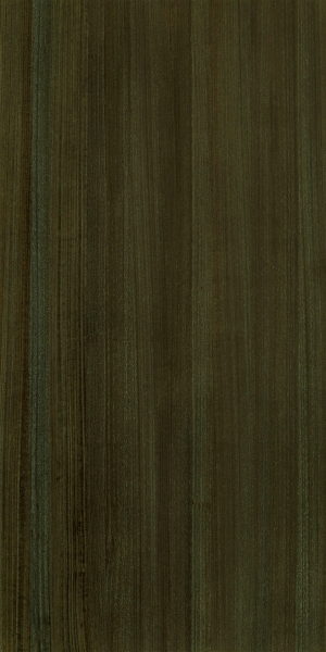 ModernWood Texture