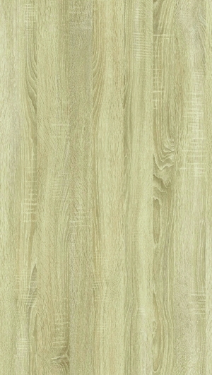 ModernWood Texture