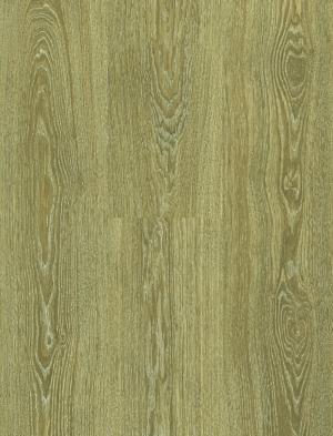 ModernWood Texture