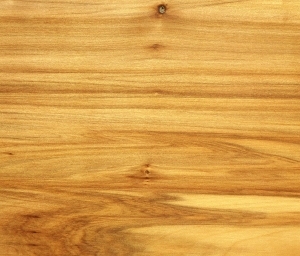 ModernWood Texture