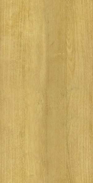 ModernWood Texture