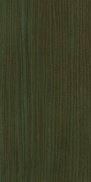 ModernWood Texture