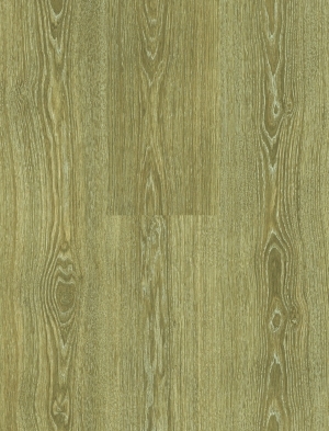 ModernWood Texture