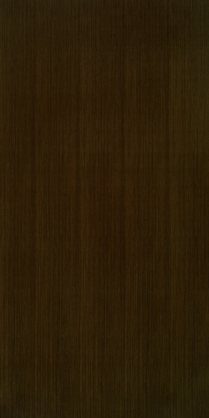 ModernWood Texture