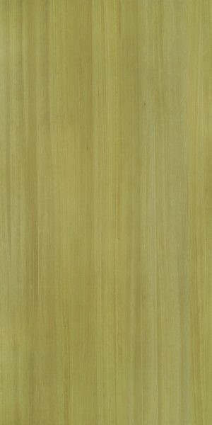 ModernWood Texture