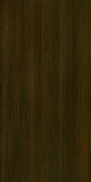 ModernWood Texture