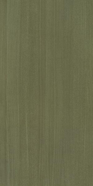 ModernWood Texture