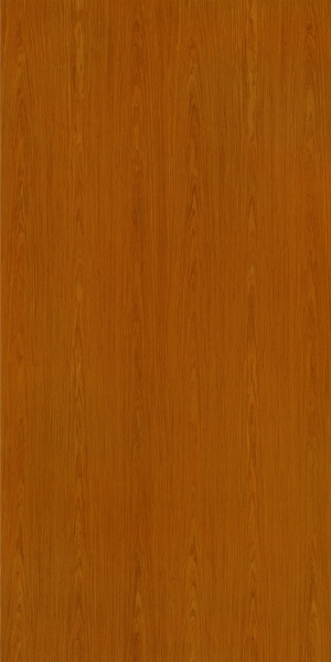 ModernWood Texture