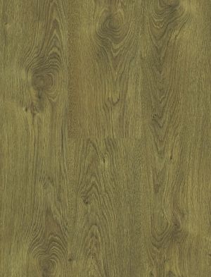 ModernWood Texture