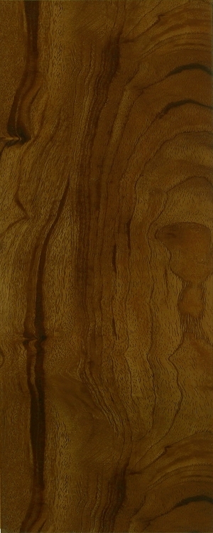 ModernWood Texture