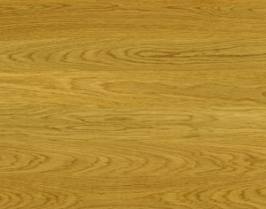 ModernWood Texture