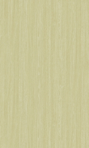 ModernWood Texture