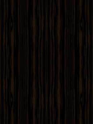 ModernWood Texture
