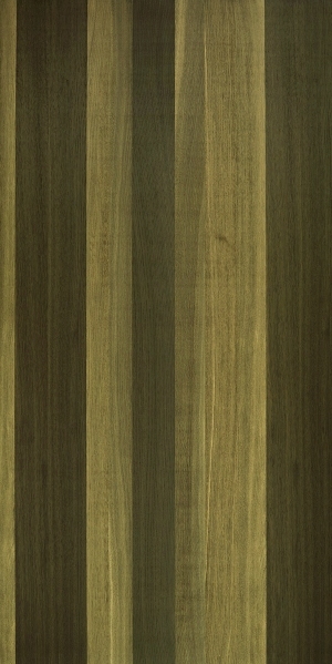 ModernWood Texture