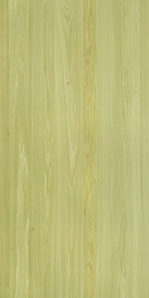 ModernWood Texture