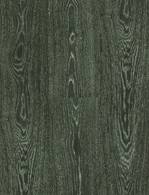 ModernWood Texture