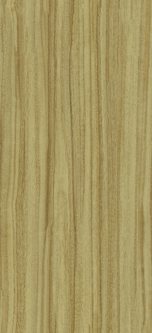 ModernWood Texture