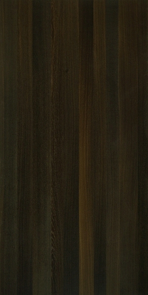 ModernWood Texture