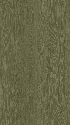 ModernWood Texture