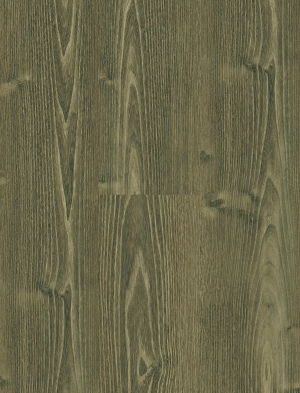 ModernWood Texture