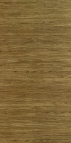 ModernWood Texture