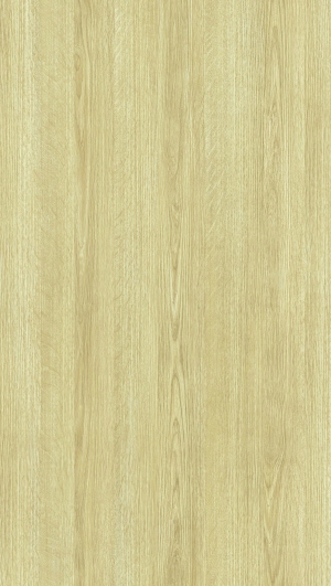 ModernWood Texture