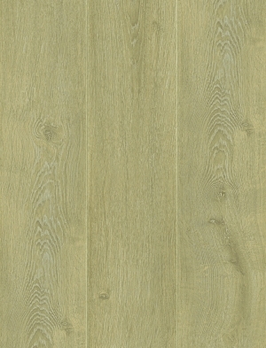 ModernWood Texture
